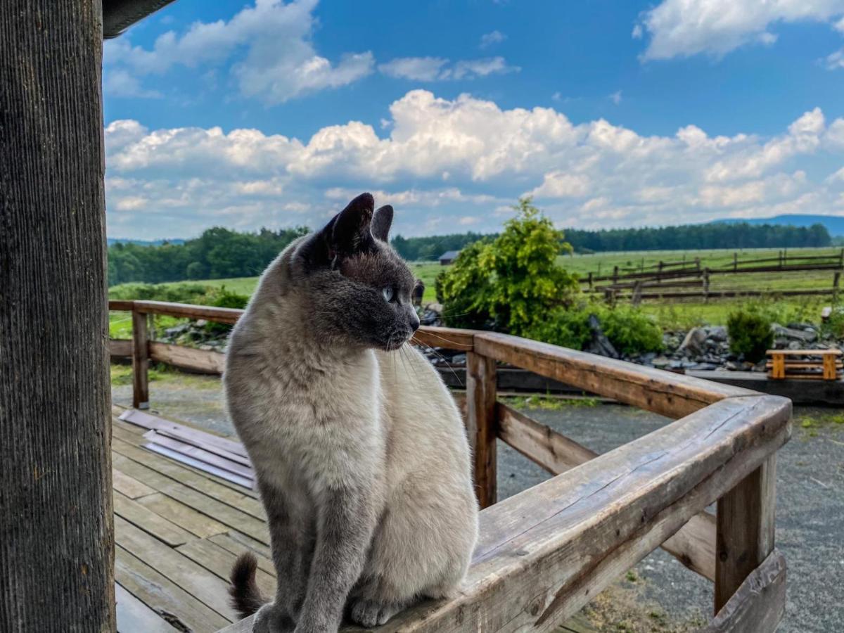 Dum Splnenych Prani Villa Praslavice Exteriör bild